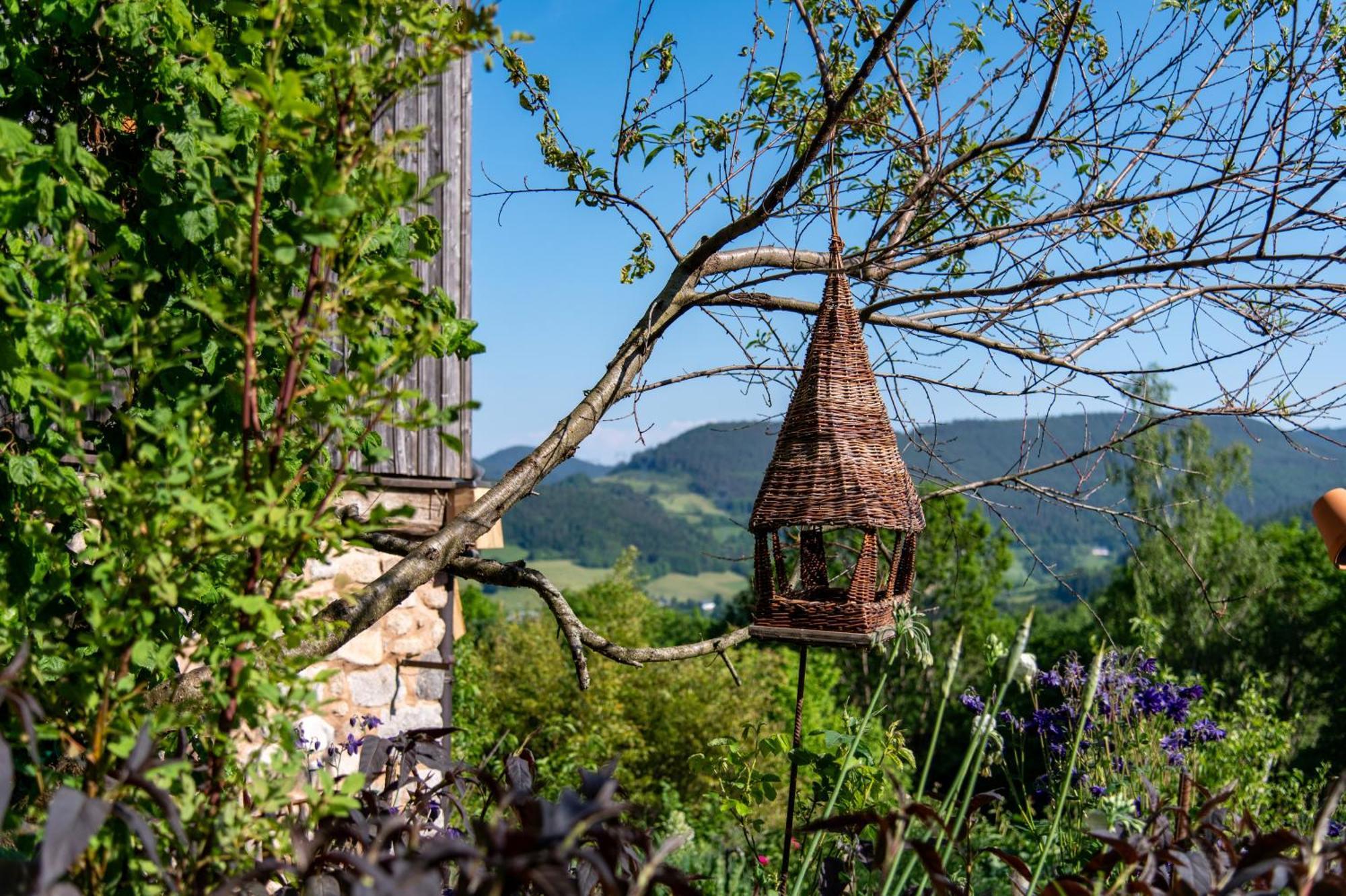 La Grange D'Hannah - Gite & Chambre D'Hotes De Charme Orbey Buitenkant foto