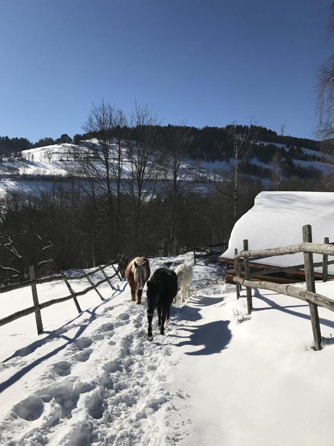 La Grange D'Hannah - Gite & Chambre D'Hotes De Charme Orbey Buitenkant foto